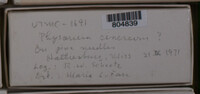 Image Associated With the Occurence